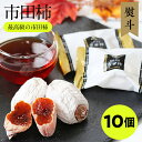 【ふるさと納税】【のし付き】長野・信州の特産品 選りすぐり 市田柿 10個セット ご自宅用 | 果物 くだもの フルーツ 柿 かき 市田柿 干し柿 長野県 南信州 飯田市 B30