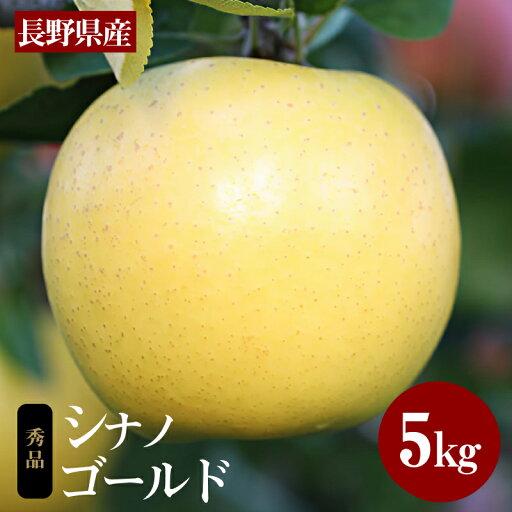 【ふるさと納税】ジューシーな黄金色りんご(シナノゴールド)約5kg 秀品〈2025年10月下旬〜11月下旬発送〉| 果物 くだもの フルーツ りんご 黄金食りんご シナノゴールド 長野県 信州 南信州 飯田市 B03 【ふるさと納税】ジューシーな黄金色りんご(シナノゴールド)約5kg 秀品〈2025年10月下旬〜11月下旬発送〉| 果物 くだもの フルーツ りんご 黄金食りんご シナノゴールド 長野県 信州 南信州 飯田市 B03