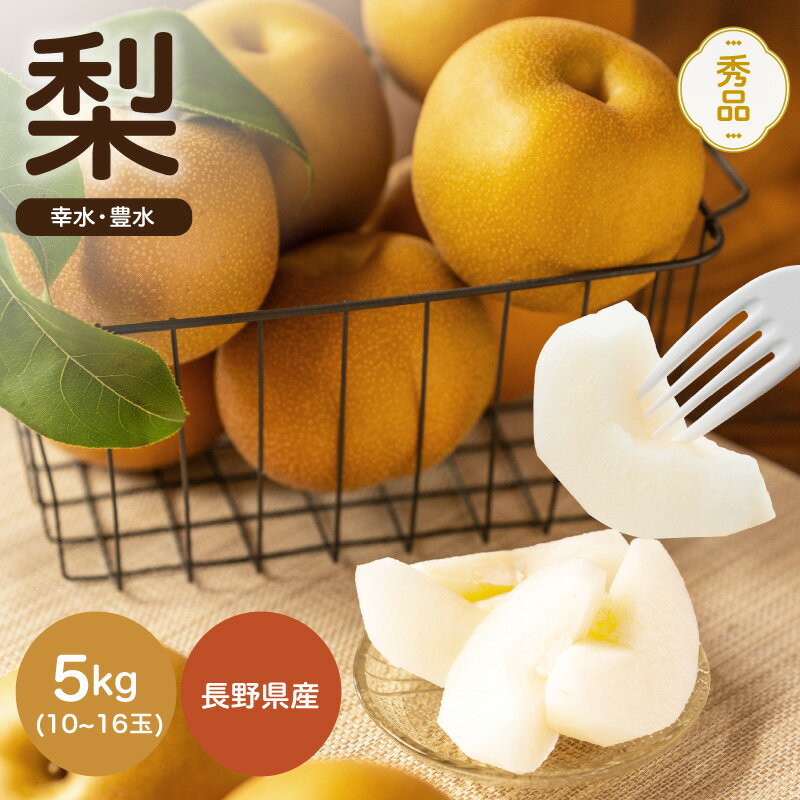 【ふるさと納税】 南信州産 幸水 または 豊水 秀品 約5kg 10〜16玉 JAみなみ信州DMセンター飯田 | 幸水 豊水 梨 なし ナシ 果物 フルーツ ジューシー 信州 南信州 送料無料 ふるさと納税 長野県 飯田市 K21のサムネイル