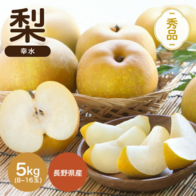 【ふるさと納税】【南信州産】幸水　約5kg　秀品 | 幸水 梨 なし ナシ 果物 くだもの フルーツ 信州 南信州 送料無料 ふるさと納税 長野県 飯田市 K34のサムネイル