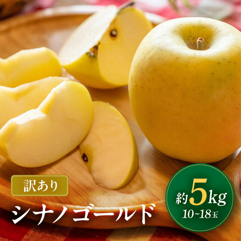 【ふるさと納税】 南信州産 シナノゴールド 訳あり 約5kg 10〜18玉 JAみなみ信州DMセンター飯田市 | 林檎 りんご リンゴ シナノゴールド ジューシー 果汁 果物 フルーツ 南信州 送料無料 ふるさと納税 長野県 飯田市 K15のサムネイル