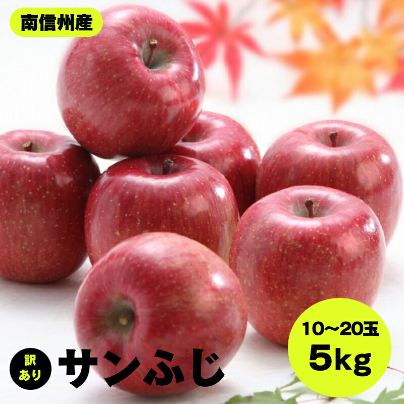 【ふるさと納税】 南信州産 サンふじ 訳あり 約5kg 10~20玉 JAみなみ信州DMセンター飯田市 | りんご リンゴ 林檎 サンふじ さんふじ 果物 ジューシー フルーツ 南信州 送料無料 ふるさと納税 長野県 飯田市 K16