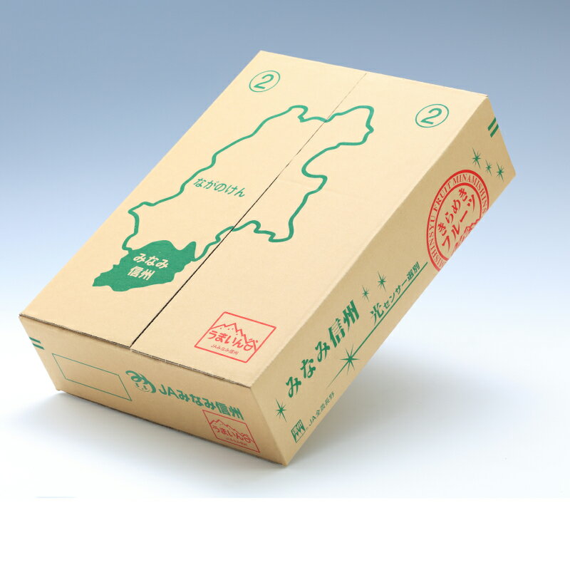 【ふるさと納税】【南信州産】サンふじ　約5kg　秀品 | りんご リンゴ ふじ サンふじ さんふじ 信州 南信州 送料無料 ふるさと納税 長野県 飯田市 K30