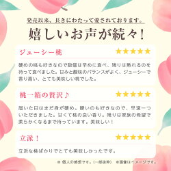 【ふるさと納税】南信州産「桃」約3kg〈あかつき・白鳳〉【1005368】 画像1