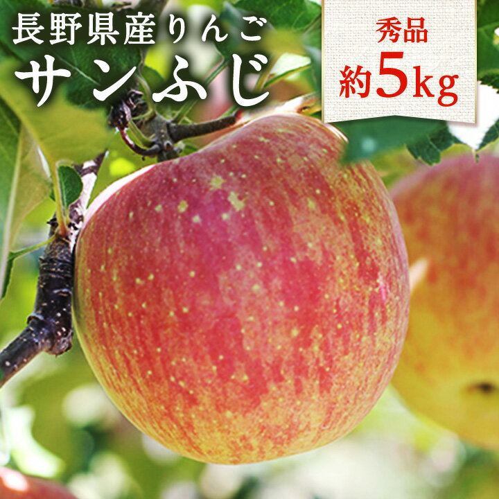 太陽の光をたっぷりと浴びた 長野県産りんご(サンふじ)約5kg 秀品[11月下旬〜12月中旬発送]