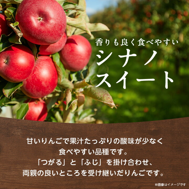 【ふるさと納税】香りも良く食べやすい! 長野県産 りんご(シナノスイート)約5kg 秀品〈10月中旬～10月末発送〉【1077091】