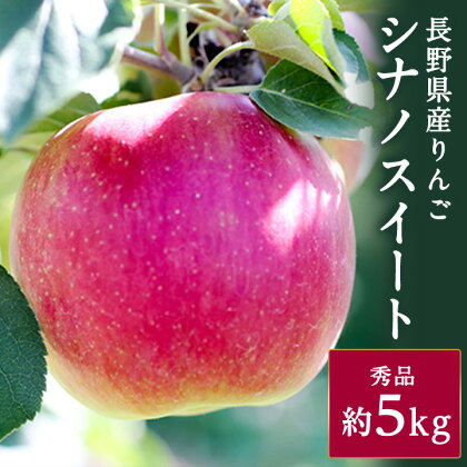 香りも良く食べやすい! 長野県産 りんご(シナノスイート)約5kg 秀品〈10月中旬～10月末発送〉【1077091】