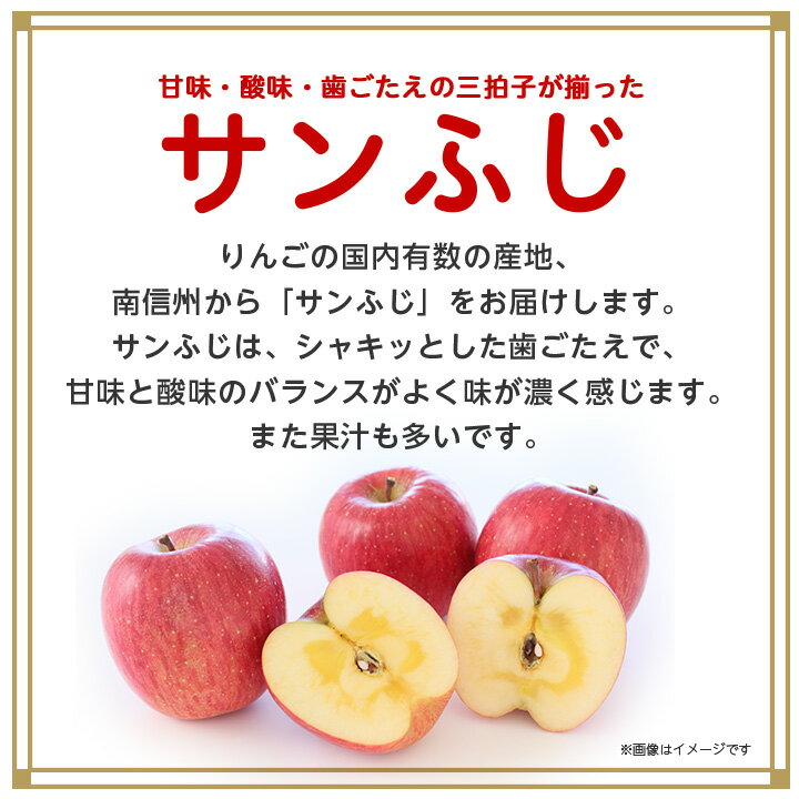 【ふるさと納税】人気の品種!長野県産りんご(サンふじ) 約3kg 秀品＜2024年11月下旬～12月中旬発送＞【1078096】