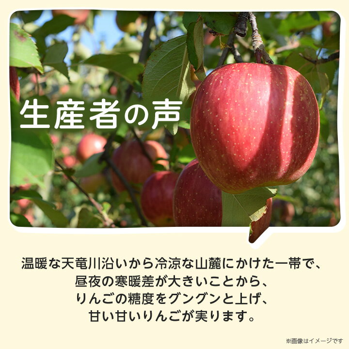 【ふるさと納税】人気の品種!長野県産りんご(サンふじ) 約3kg 秀品＜2024年11月下旬～12月中旬発送＞【1078096】 3