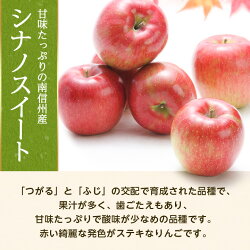 【ふるさと納税】【南信州産】 シナノスイート　約5kg　特秀・秀　【1110444】 画像1