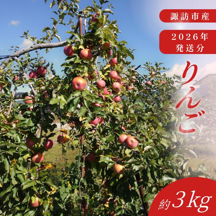 季節のりんご 3kg [2026年発送分][先行受付]/笠原壽雄農園 りんご リンゴ 林檎 信州産 信州りんご おすすめ おすすめりんご 信州 長野県 諏訪市 諏訪 [105]