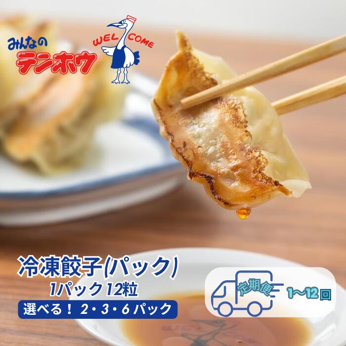 テンホウのぎょうざ 1パック12粒入 冷凍 [選べる数量 2パック/3パック/6パック] [通常便1回] [定期便 2ヶ月～12か月] ぎょうざ ギョウザ 冷凍餃子 大容量 コスパ ご当地グルメ 中華 簡単調理 まとめ買い おかず おつまみ 時短料理 冷凍ストック [21-060708]