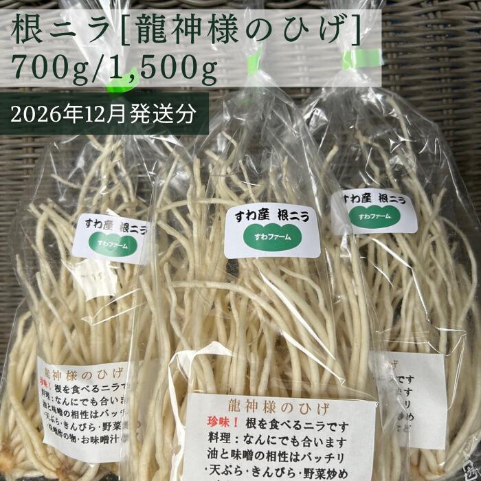 【ふるさと納税】先行予約[2026年12月発送] 根ニラ【龍神様のひげ】 全2種 700g[100g×7袋]/1,500g[100g×15袋]/ すわファーム 根ニラ ニラ 野菜 香味野菜 根菜 高原野菜 信州 長野県 諏訪市 諏訪湖 諏訪 [91-0102]