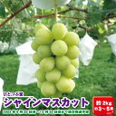 【ふるさと納税】シャインマスカット 約2kg　約3～5房《ひとつぶ堂》■2022年発送■※9月下旬頃～10月下旬頃まで順次発送予定 ブドウ ぶどう シャインマスカット･･･