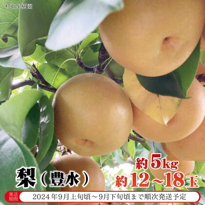 梨（豊水）約5kg（約12～18玉）《村石果樹園》■2024年発送■※9月上旬頃～9月下旬頃まで順次発送予定 果物 フルーツ なし