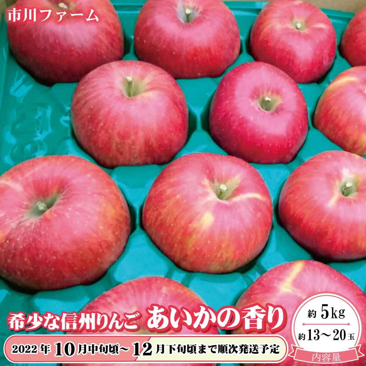 【ふるさと納税】希少な信州りんご「あいかの香り」約5kg(約13~20玉)《市川ファーム》■2022年発送■※10月中旬頃~12月下旬頃まで順次発送予定林檎りんごあいかの香り