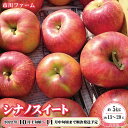 【ふるさと納税】シナノスイート　約5kg（約13～20玉）《市川ファーム》■2022年発送■※10月上旬頃～11月中旬頃まで順次発送予定 フルーツ 果物 りんご リンゴ シナノスイート･･･