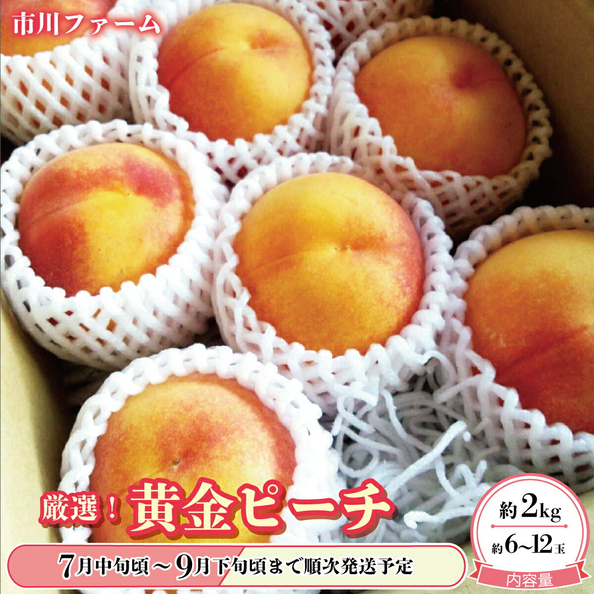 【ふるさと納税】厳選！黄金ピーチ約2kg（約6～12玉）品種