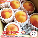 【ふるさと納税】厳選！黄金ピーチ約2kg（約6～12玉）品種おまかせ 桃《市川ファーム》■2024年発送■※7月中旬頃～9月…