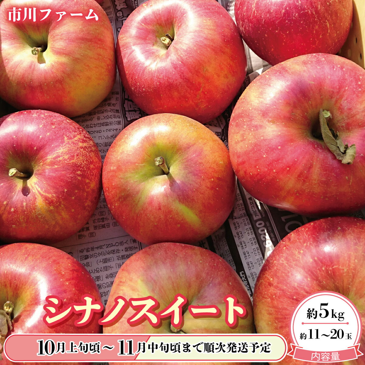 ジューシーかつ爽やかな甘さ！人気のシナノスイート約5kg（約11～20玉）《市川ファーム》■2024年発送■※10月上旬頃～11月中旬頃まで順次発送予定 フルーツ 果物 りんご リンゴ シナノスイート