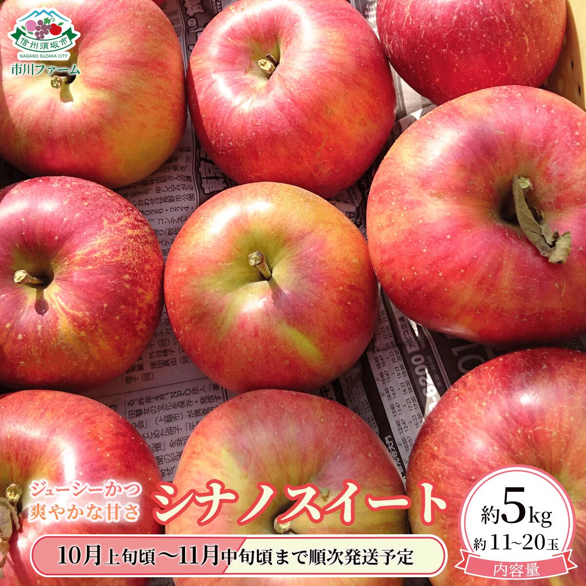 【ふるさと納税】ジューシーで爽やかな甘さ！人気のシナノスイート 約5kg（約11～20玉）《市川ファーム》■2025年発送■※10月上旬頃～11月中旬頃まで順次発送予定 フルーツ 果物 りんご リンゴ シナノスイート
