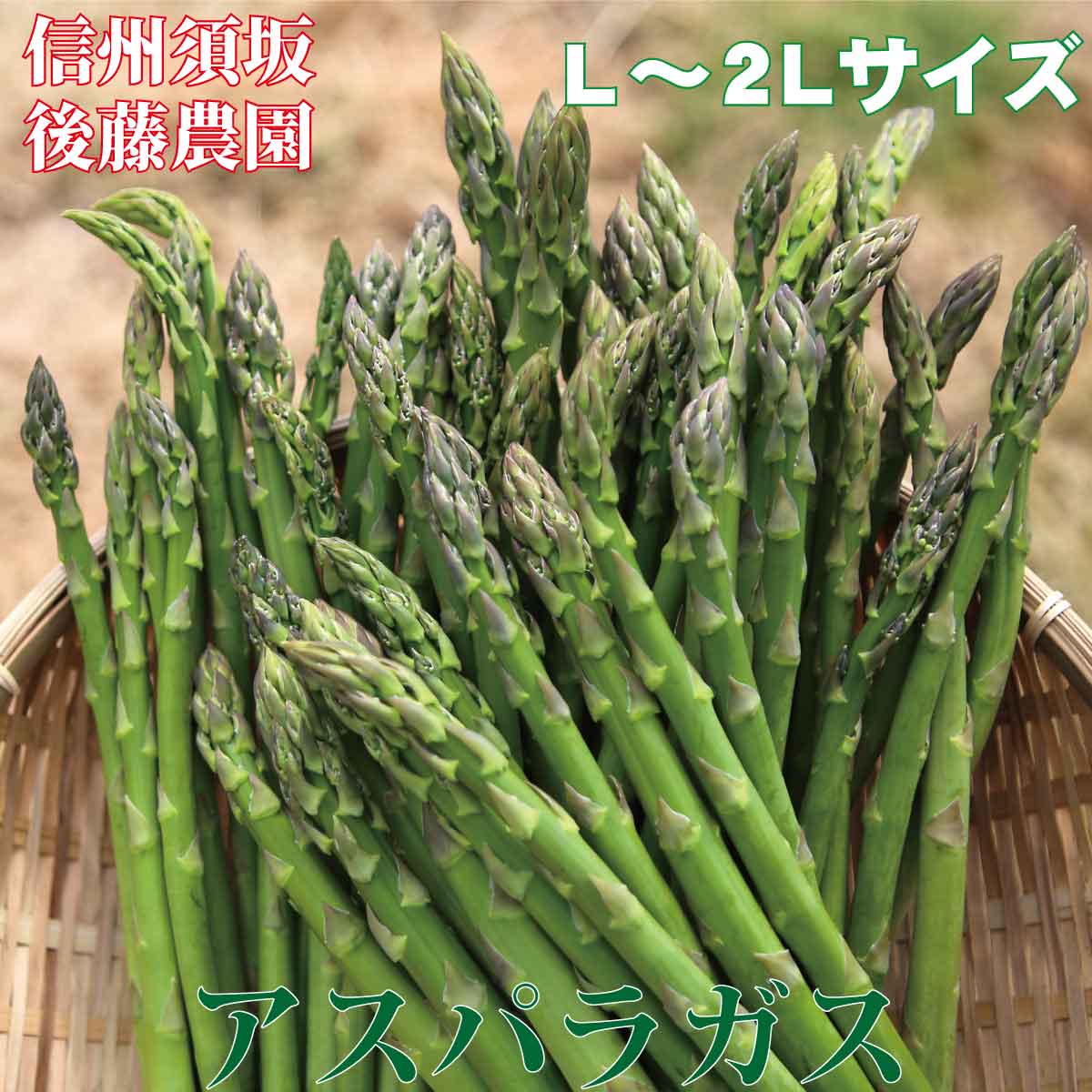 【ふるさと納税】朝採りアスパラガス約1.1kg～農家直送～《後藤農園》■2023年発送■※3月下旬頃～5月中旬頃まで順次発送予定 アスパラ 野菜