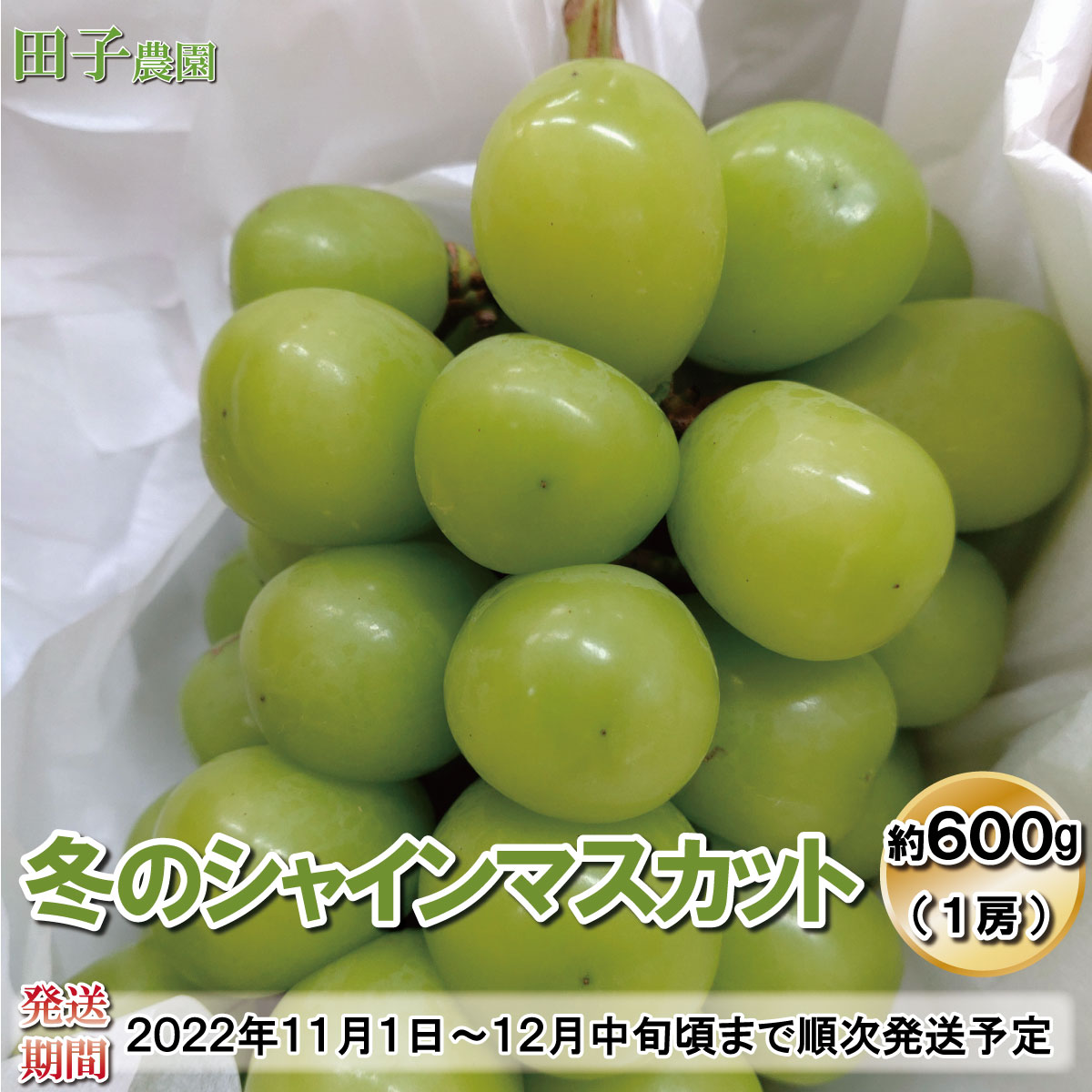 ぶどう・マスカットのふるさと納税返礼品(おすすめ)│2022最新情報【HISふるさと納税比較】 ぶどう・マスカットのふるさと納税返礼品(おすすめ)│2022最新情報【HISふるさと納税比較】