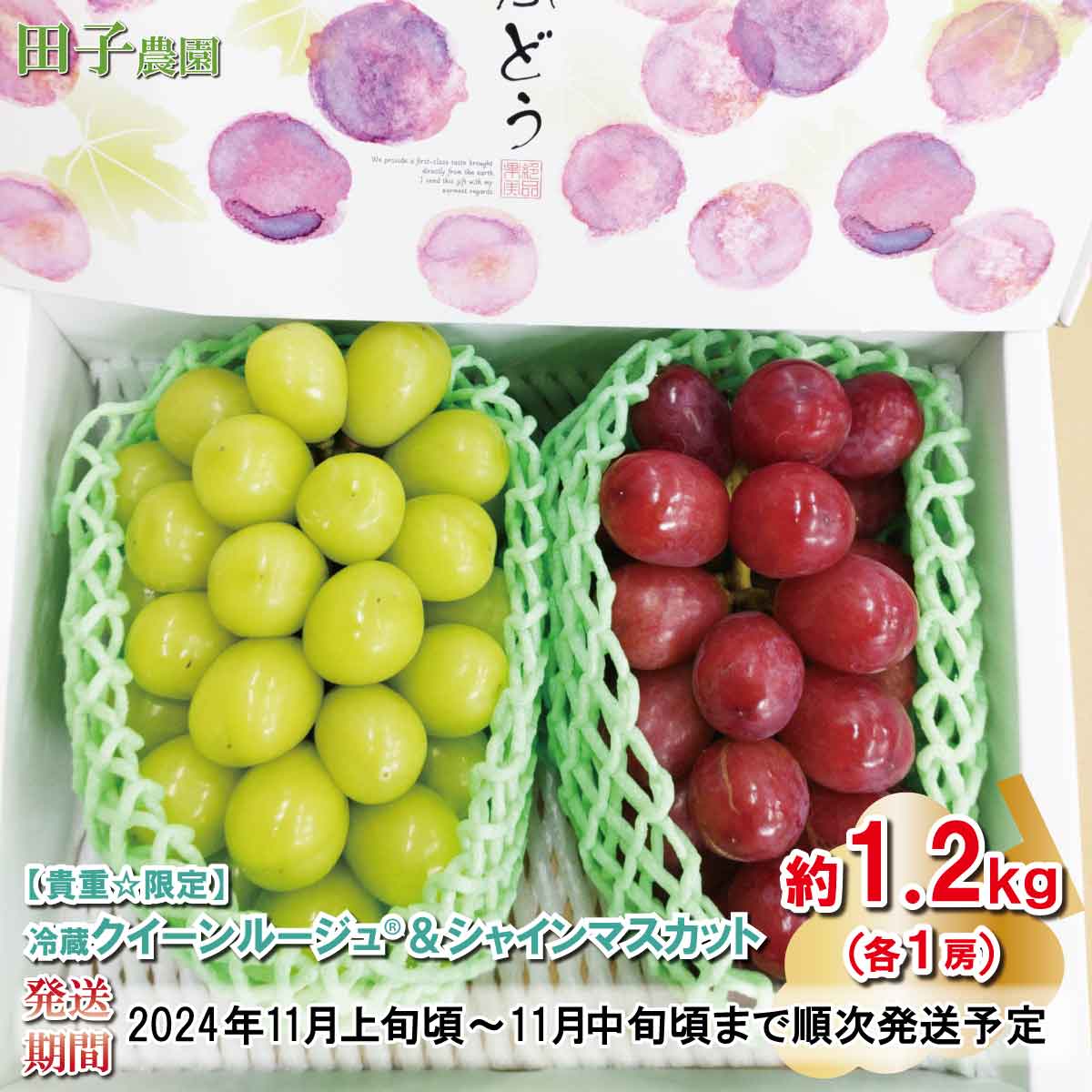 [貴重☆数量限定]冷蔵クイーンルージュ®&冷蔵シャインマスカット 各1房 約1.2kg[田子農園] 2024年発送 ※11月上旬頃〜11月中旬頃まで順次発送予定 果物類 フルーツ 果物 ぶどう