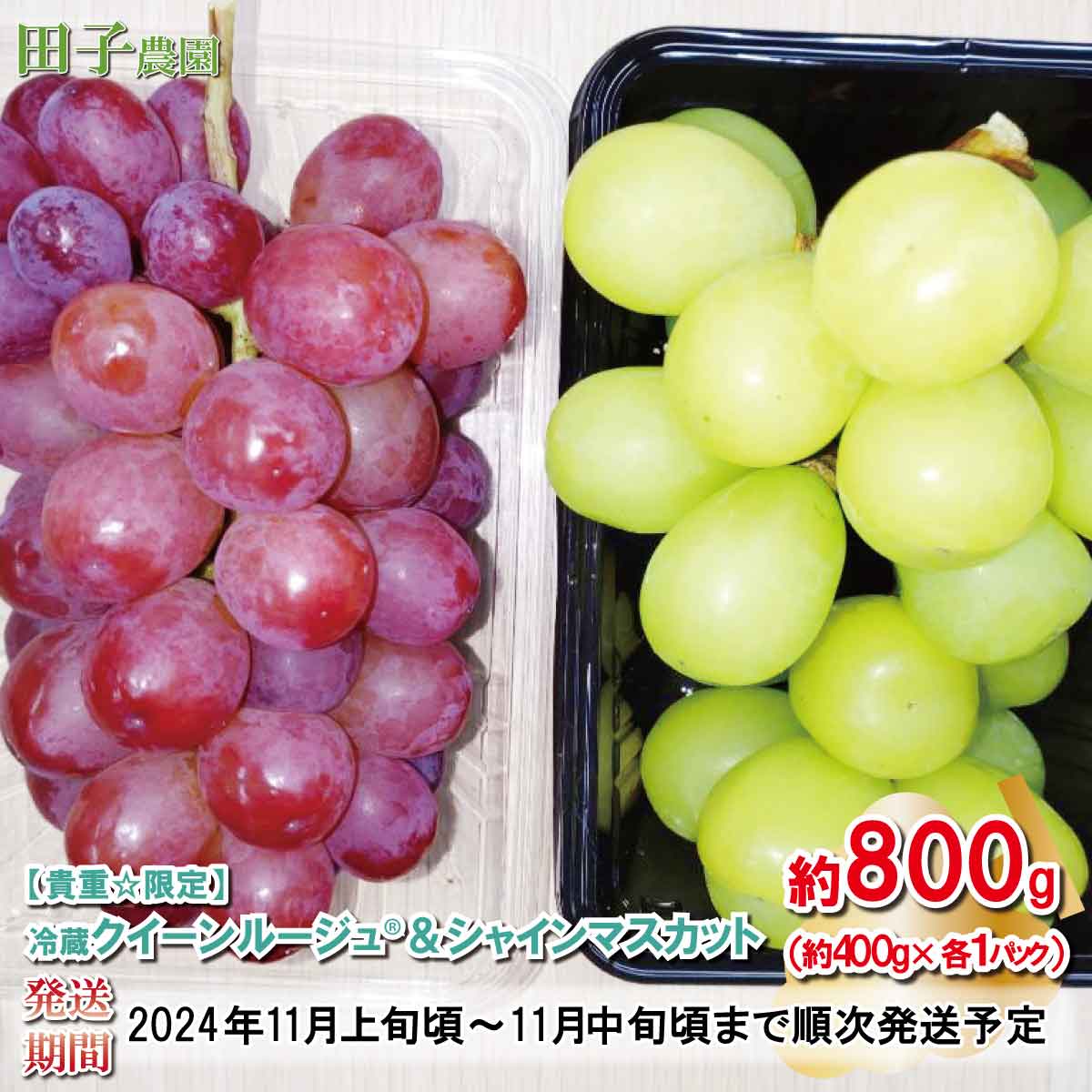 [貴重☆数量限定]冷蔵クイーンルージュ®&冷蔵シャインマスカット 約800g(約400g×各1パック)[田子農園] 2024年発送 ※11月上旬頃〜11月中旬頃まで順次発送予定果物類 フルーツ 果物 ぶどう