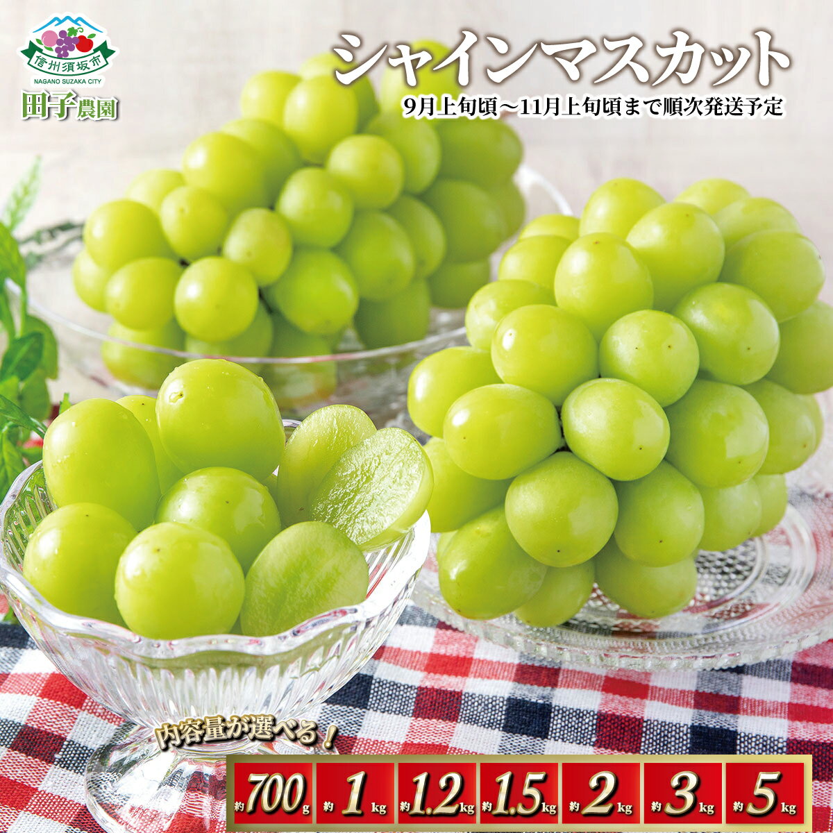 【ふるさと納税】シャインマスカット約1kg（約1～2房）《田子農園》産直 新鮮 おすすめ 数量限定■2023年発送■※9月中旬頃～10月下旬頃まで順次発送予定 果物類 フルーツ 果物 ぶどう 先行予約 予約のサムネイル