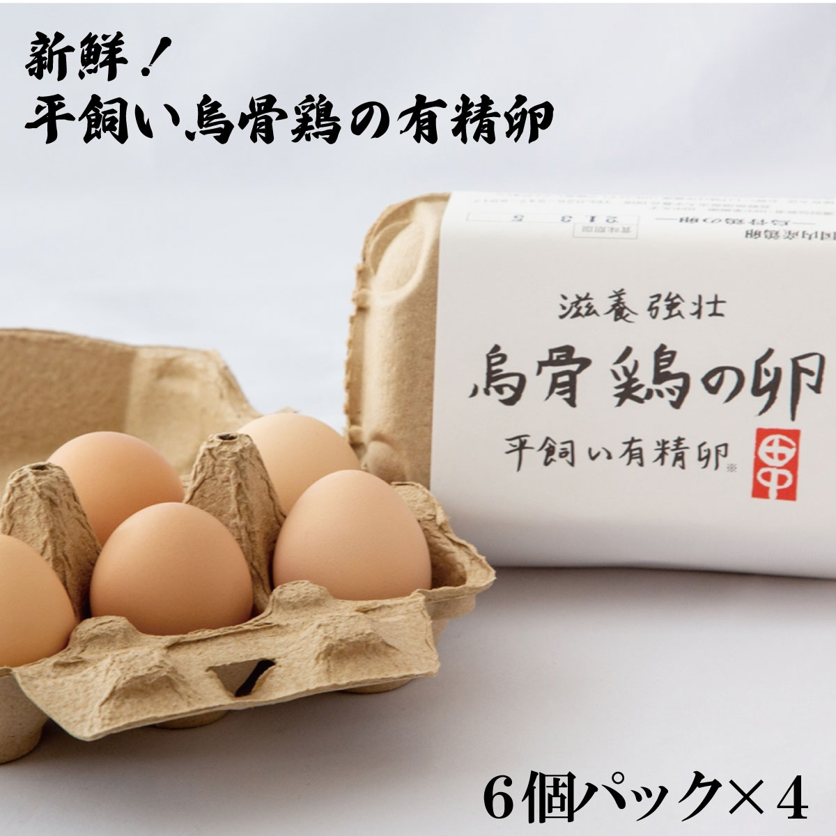 【ふるさと納税】新鮮！平飼い烏骨鶏の有精卵 （6個パック×4）《タナカファーム》 鶏卵 烏骨鶏 うこっ...