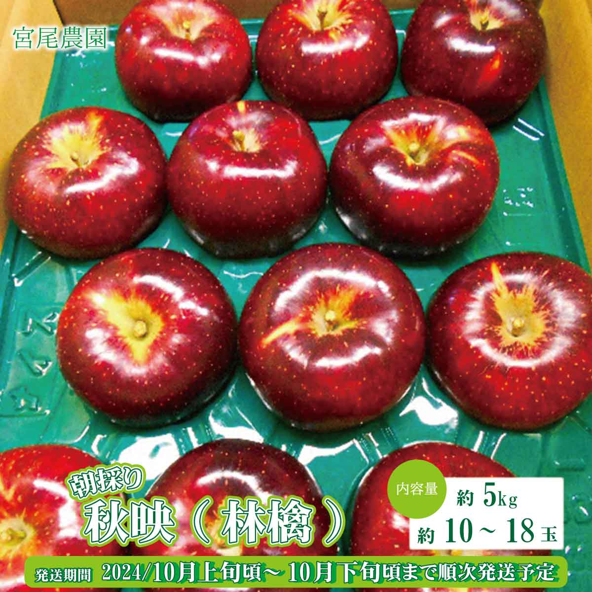 【ふるさと納税】朝採り秋映(林檎) 約5kg(約10～18玉)《宮尾農園》■2024年発送■※10月上旬頃～10月下旬頃まで順次発送予定 果物 フルーツ りんごのサムネイル
