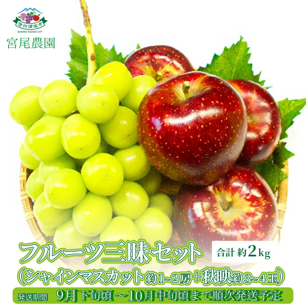 【ふるさと納税】フルーツ三昧セット 合計約2kg (シャインマスカット 約1～2房+秋映 約3～4玉) 《宮尾農園》■2025年発送■※9月下旬頃～10月中旬頃まで順次発送予定 果物 フルーツ ぶどう りんご 先行予約 予約