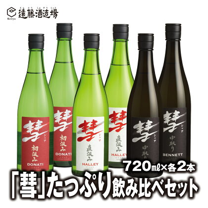 「彗」たっぷり飲み比べセット 720ml×各2本【6本セット】【短冊のし対応】《株式会社遠藤酒造場》 日本酒 お酒