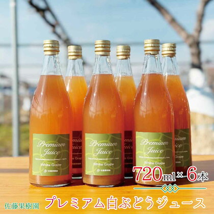 プレミアム白ぶどうジュース（720ml×6本）《佐藤果樹園》 飲料類 果汁飲料 ぶどう ブドウジュース