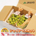 【ふるさと納税】シャインマスカット 1.2kg以上（約2～3房）《JAながの》■2024年発送■※9月上旬頃～10月下旬頃まで順次発送予定 フルーツ 果物 ぶどう ブドウ 葡萄 先行予約 予約