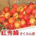 紅秀峰 さくらんぼ 訳あり 約1kg（バラ詰）《黒岩果樹園》■2024年発送■※6月下旬頃～7月上旬頃まで順次発送予定 果物 サクランボ チェリー フルーツ くだもの