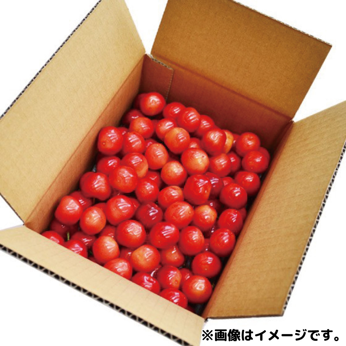 【ふるさと納税】紅秀峰 さくらんぼ 秀品 約1kg（バラ詰）《黒岩果樹園》■2024年発送■※6月下旬頃～7月上旬頃まで順次発送予定 果物 サクランボ チェリー フルーツ くだもの