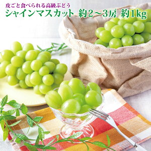 【ふるさと納税】楽天限定　シャインマスカット 約2〜3房 約1kg 《黒岩果樹園》■2021年発送■※9月上旬頃より発送 果物 ぶどう フルーツ