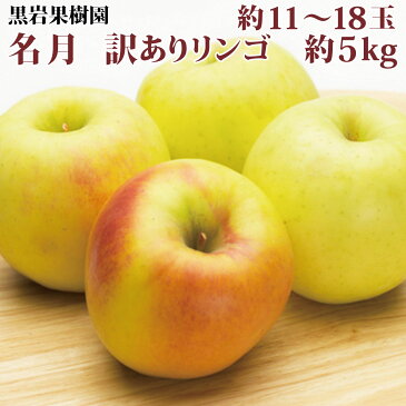 【ふるさと納税】名月 訳ありリンゴ 約11～18玉 約5kg 《黒岩果樹園》■2022年発送■※11月上旬頃～12月下旬頃まで順次発送予定 果物 フルーツ りんご 林檎 訳あり 家庭用