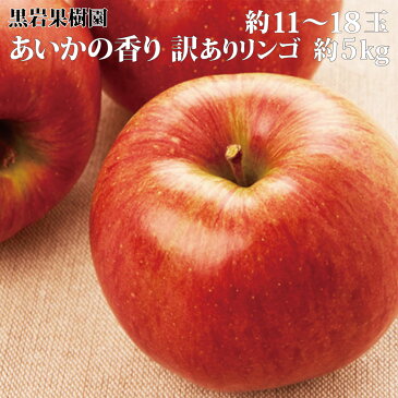 【ふるさと納税】あいかの香り 訳ありリンゴ 約11～18玉 約5kg 《黒岩果樹園》■2022年発送■※11月上旬頃～12月下旬頃まで順次発送予定 果物 フルーツ りんご 林檎 訳あり 家庭用