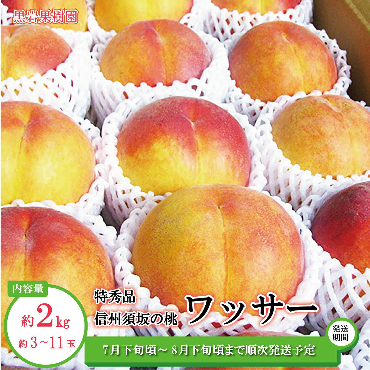 [硬めの桃]信州須坂の桃 ワッサー 特秀品 約2kg(約3〜11玉)[黒岩果樹園] 2024年発送 ※7月下旬頃〜8月下旬頃まで順次発送予定