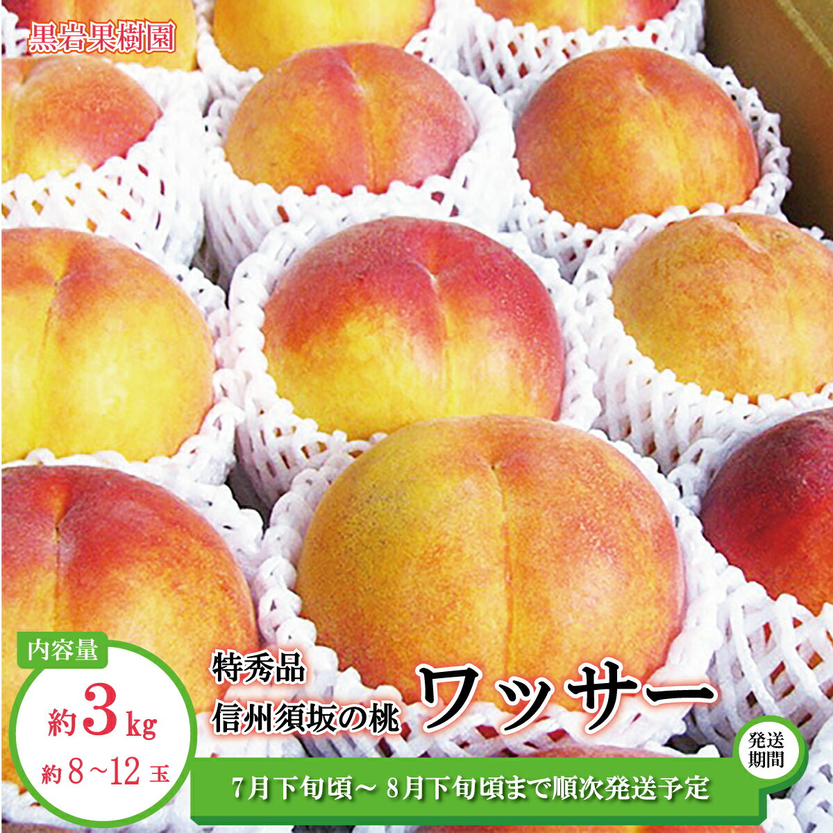 【ふるさと納税】【硬めの桃】信州須坂の桃 ワッサー 特秀品 約3kg（約8～12玉）《黒岩果樹園》■2024年発送■※7月下旬頃～8月下旬頃まで順次発送予定