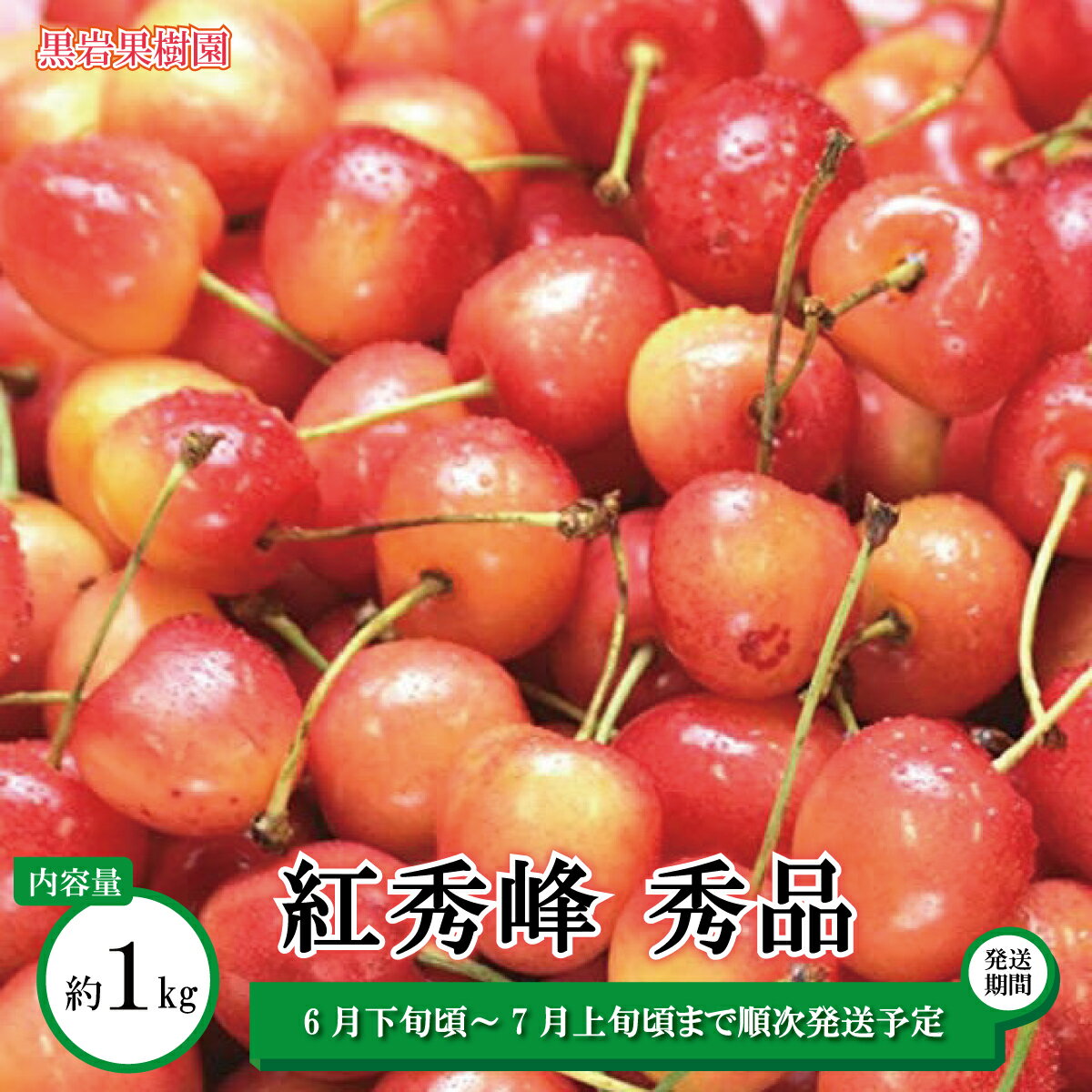 紅秀峰 さくらんぼ 秀品 約1kg(バラ詰)[黒岩果樹園] 2024年発送 ※6月下旬頃〜7月上旬頃まで順次発送予定 果物 サクランボ チェリー フルーツ くだもの