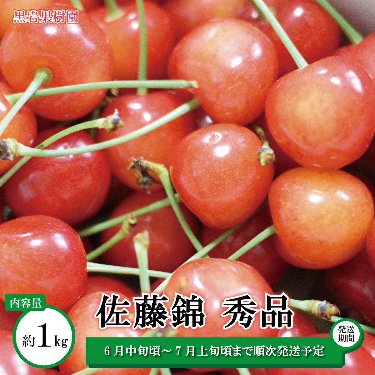 佐藤錦 さくらんぼ 秀品 約1kg(バラ詰)[黒岩果樹園] 2024年発送 ※6月中旬頃〜7月上旬頃まで順次発送予定 果物 サクランボ チェリー フルーツ くだもの