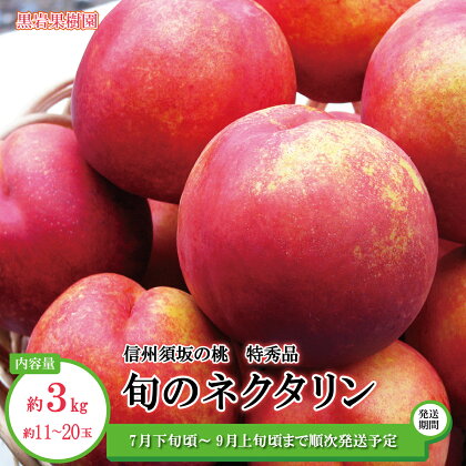 信州須坂の桃 旬のネクタリン 特秀品 約3kg(約11～20玉) 《黒岩果樹園》■2024年発送■※7月下旬頃～9月上旬頃まで順次発送予定