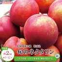 【ふるさと納税】信州須坂の桃 旬のネクタリン 特秀品 約2kg (約5～12玉) 《黒岩果樹園》■2024年発送■※7月下旬頃～9…