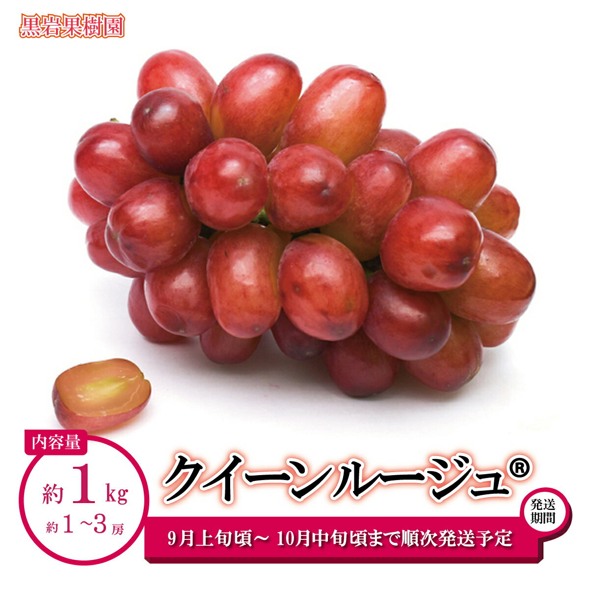 クイーンルージュ® 約1kg(約1〜3房)[黒岩果樹園] 2024年発送 ※9月上旬頃〜10月中旬頃まで順次発送予定 果物 ぶどう フルーツ 種なし