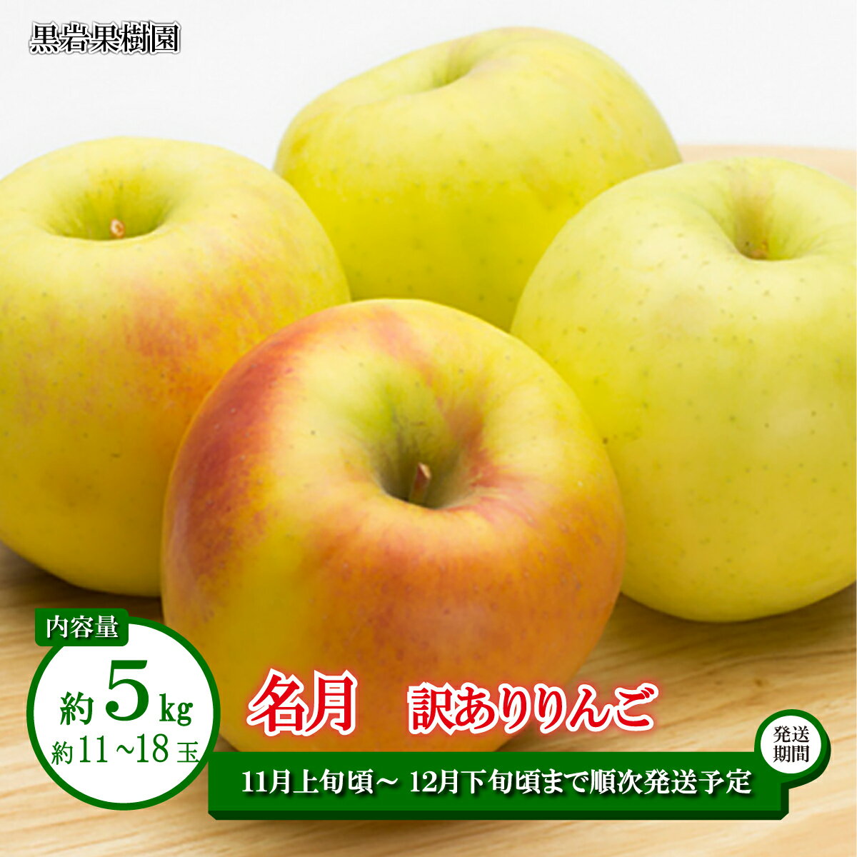 【ふるさと納税】名月 訳ありりんご 約5kg（約11～18玉