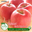 シナノスイート 特秀りんご 約5kg (約11～18玉) 《黒岩果樹園》■2024年発送■※10月上旬頃～11月上旬頃まで順次発送予定 果物 フルーツ りんご